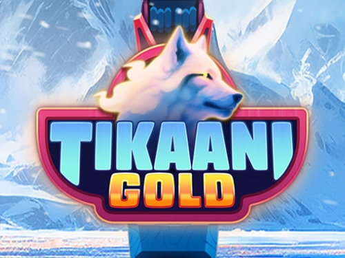 티카니 골드 Tikaani Gold