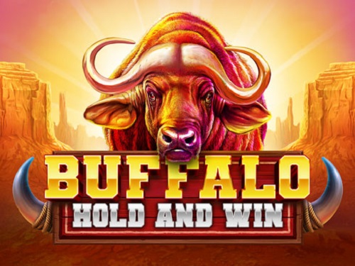 버팔로 홀드 앤 윈 Buffalo Hold and Win