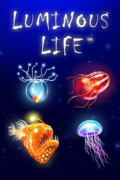 루미너스 라이프 Luminous Life