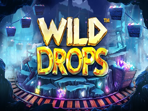 와일드 드롭스 Wild Drops 