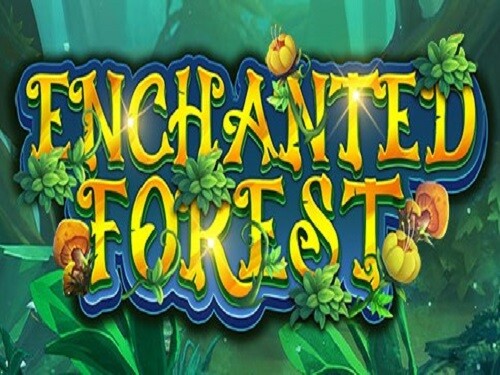 인첸티드 포레스트 Enchanted Forest