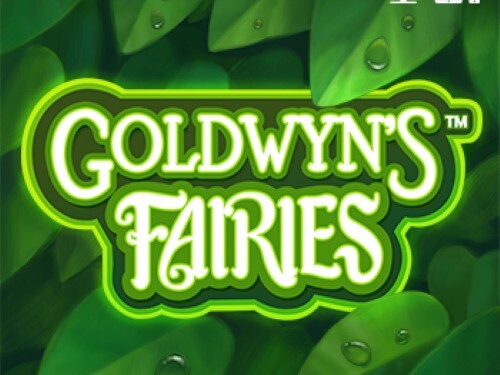 골드윈스 페어리스 Goldwyns Fairies