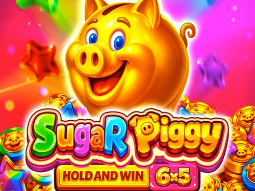 슈가 피기 Sugar Piggy