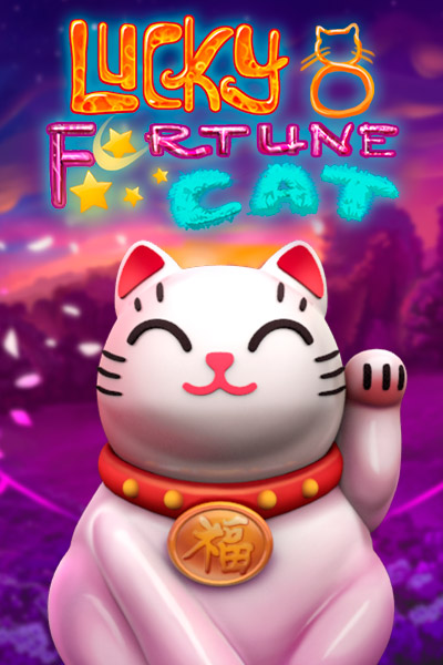 럭키 8 포춘 캣 Lucky 8 Fortune Cat