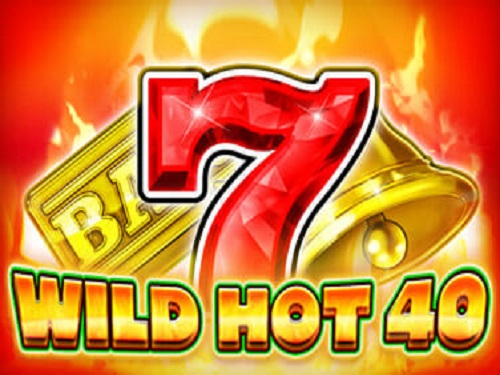 와일드 핫 40 Wild Hot 40