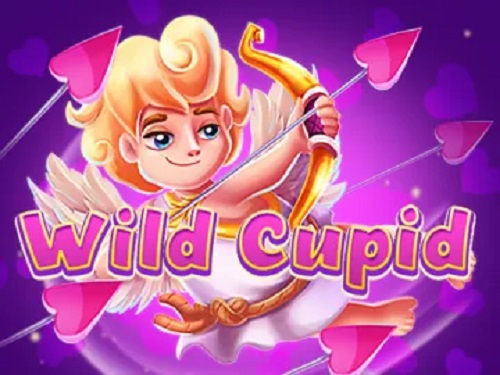 와일드 큐피드 Wild Cupid