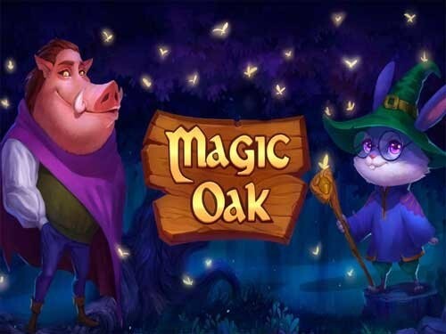 매직 오크 Magic Oak