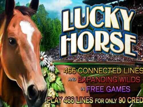 럭키 호스 Lucky Horse