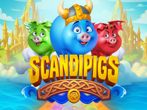 스칸디피그스 Scandipigs