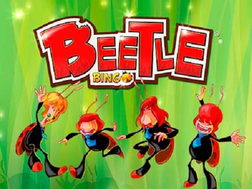 비틀 빙고 Beetle Bingo