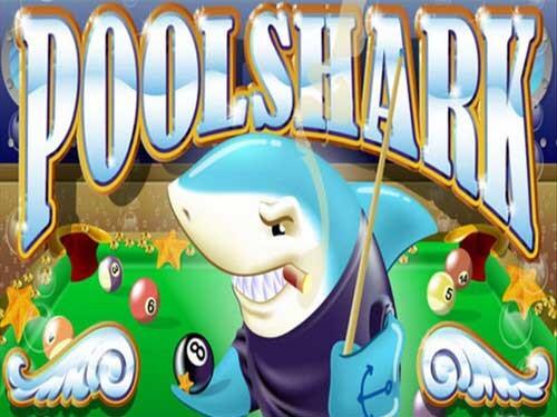 풀 샤크 Pool Shark
