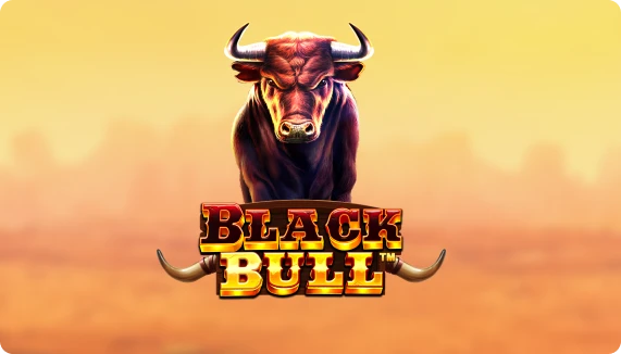 블랙 불 Black Bull