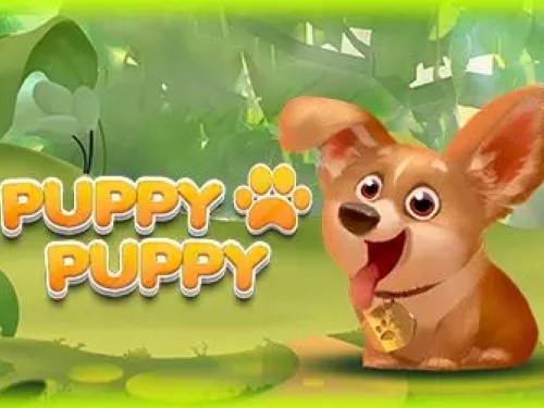 퍼피 퍼피 Puppy Puppy