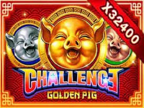 챌린지・골든 피그 Challenge・Golden Pig