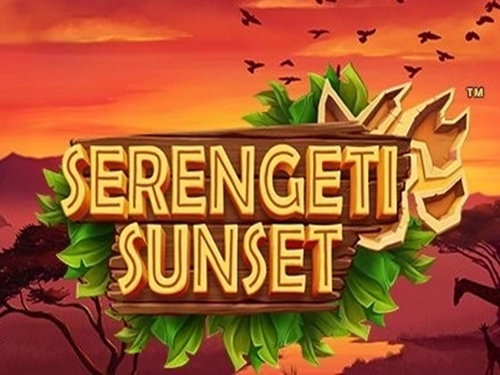 세렝게티 선셋 Serengeti Sunset