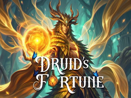 드루이즈 포춘 Druid's Fortune