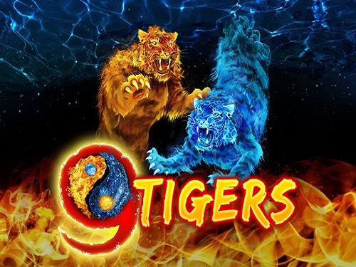 9 타이거스 9 Tigers