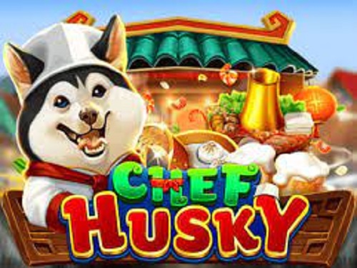 셰프 허스키 Chef Husky