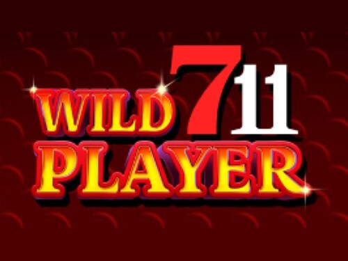 와일드711플레이어 Wild711Player