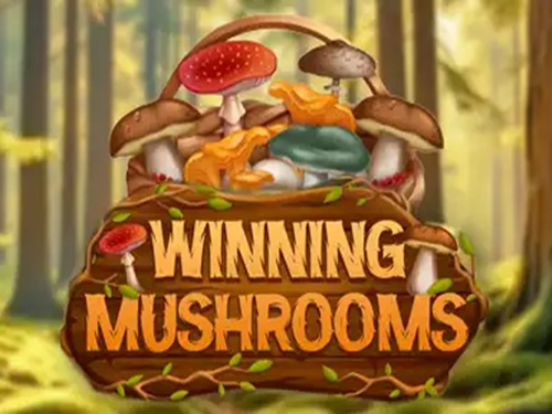 위닝 머쉬룸스 Winning Mushrooms