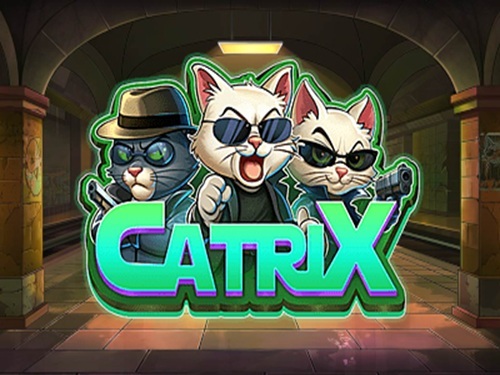 캐트릭스 Catrix