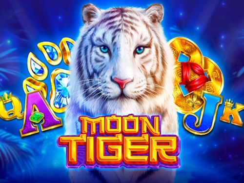 문 타이거 Moon Tiger