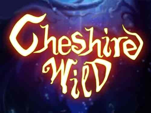 체셔 와일드 Cheshire Wild