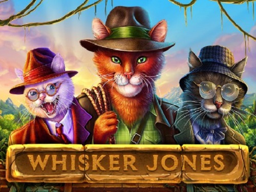위스커 존스 Whisker Jones