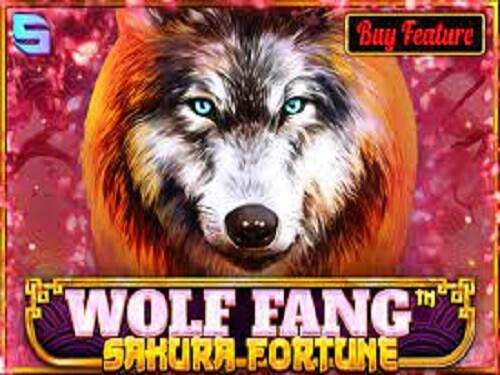 울프 팽 사쿠라 포춘 Wolf Fang Sakura Fortune