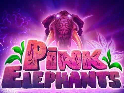핑크 엘리펀츠 Pink Elephants