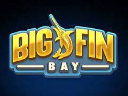 빅 핀 베이 Big Fin Bay