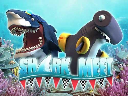 샤크 미트 Shark Meet