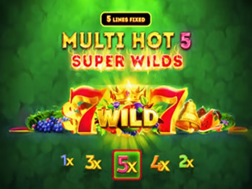 멀티 핫 5 슈퍼 와일즈 Multi Hot 5 Super Wilds