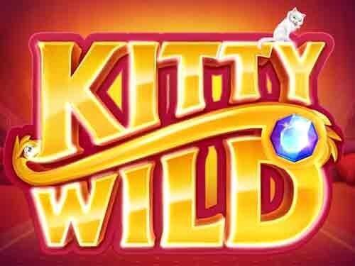 키티 와일드 Kitty Wild