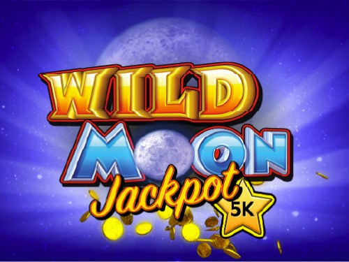 와일드 문 Wild Moon