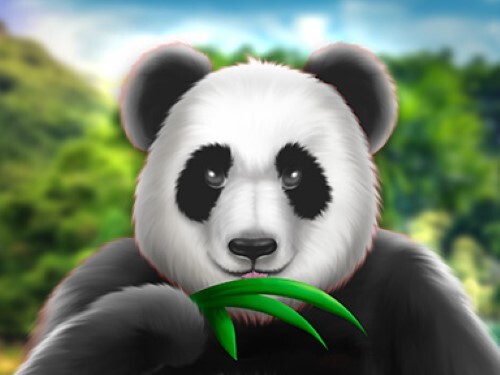 와일즈 오브 아시아 Wilds Of Asia