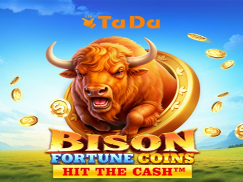 바이슨 포춘 코인스 Bison Fortune Coins