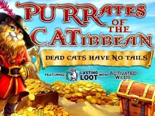 퍼레이츠 오브 더 캐티비안 Purrates Of The Catibbean