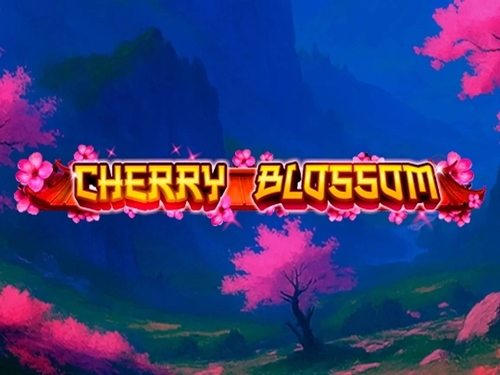 체리 블로섬 Cherry Blossom