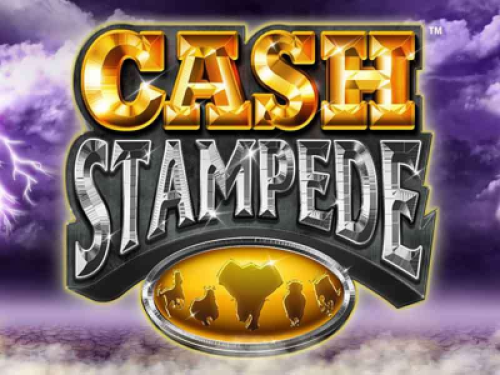 캐시 스탬피드 (다이스) Cash Stampede (Dice)