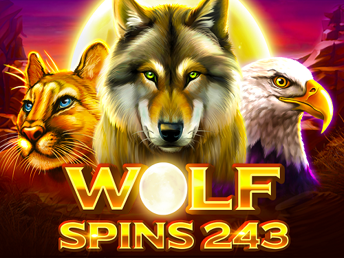 울프 스핀스 243 Wolf Spins 243