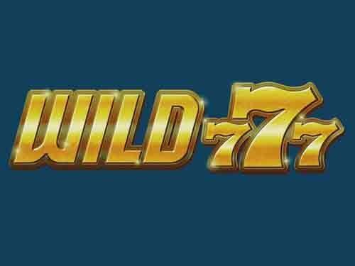 와일드 777 Wild 777