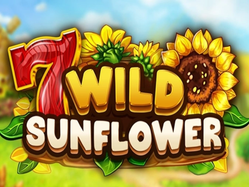 와일드 선플라워 Wild Sunflower