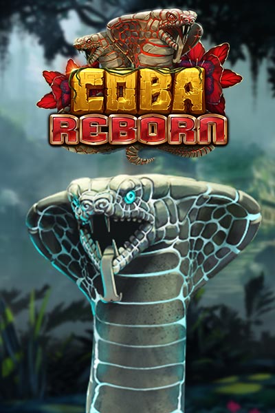 코바 리본 Coba Reborn