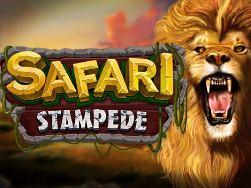 사파리 스탬피드 Safari Stampede