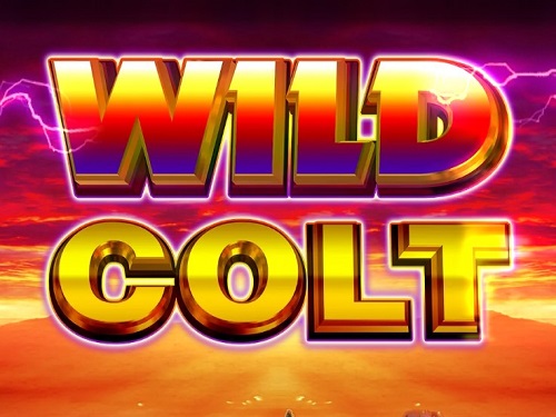 와일드 콜트 Wild Colt