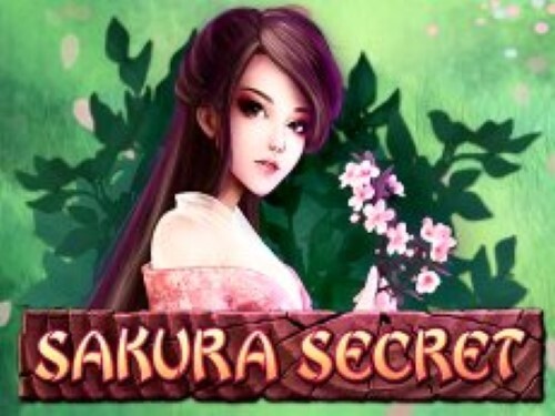 사쿠라 시크릿 Sakura Secret