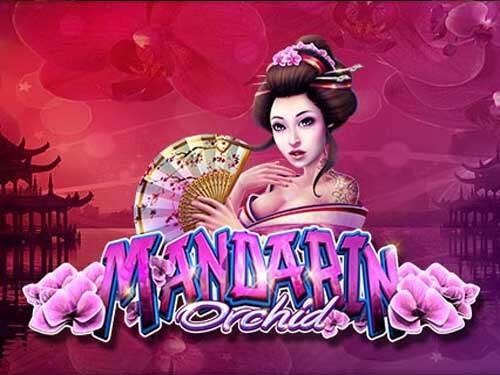 만다린 오키드