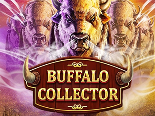 버팔로 컬렉터 Buffalo Collector