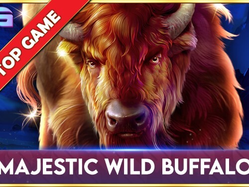 마제스틱 와일드 버팔로 Majestic Wild Buffalo